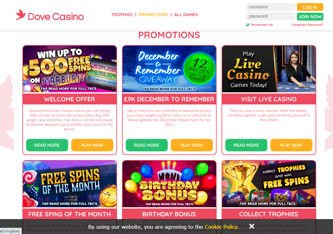 Cheeky bingo sister sites free